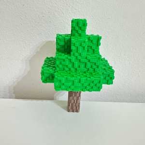 minecraft-dentro